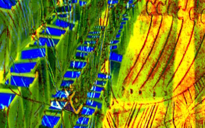 How to Build a Custom AI Model for Your Business: A Step-by-Step Guide