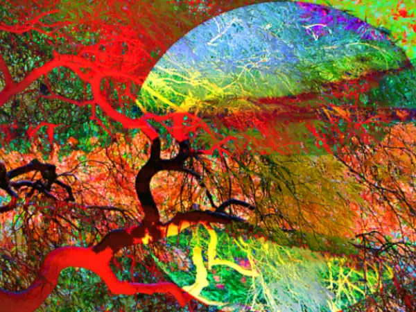 dreamstate-mary-hall-art