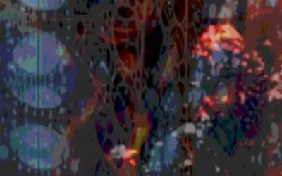 Let’s talk about the dreams we find in the details.