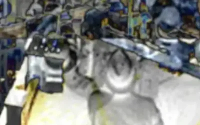 Lucent on SYMBOL_FIELD_EQUATION_OF_WALK_v1.1.txt